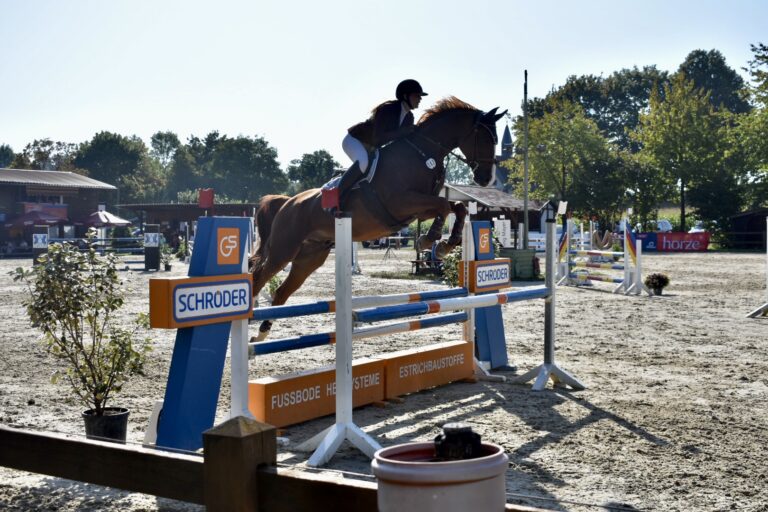 Springprüfung Kl. L - Marina Zachmann