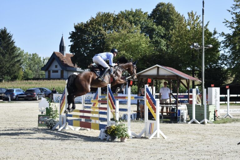 Springprüfung Kl. M - Marco Löw